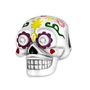 New skull pandora style charm
